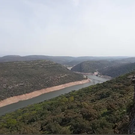 Labrador Сasa de vacaciones