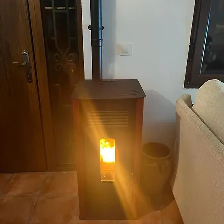 Labrador