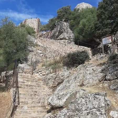 Labrador Дом отдыха Торрехон-эль-Рубио